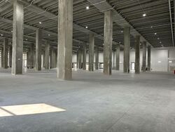 Pantech Business Hub (D5), Warehouse #461293861